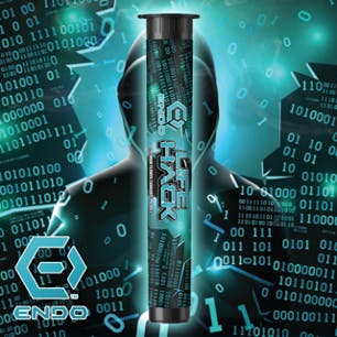 Endo - ENDO LIFE HACK 1G PRE-ROLL - 1