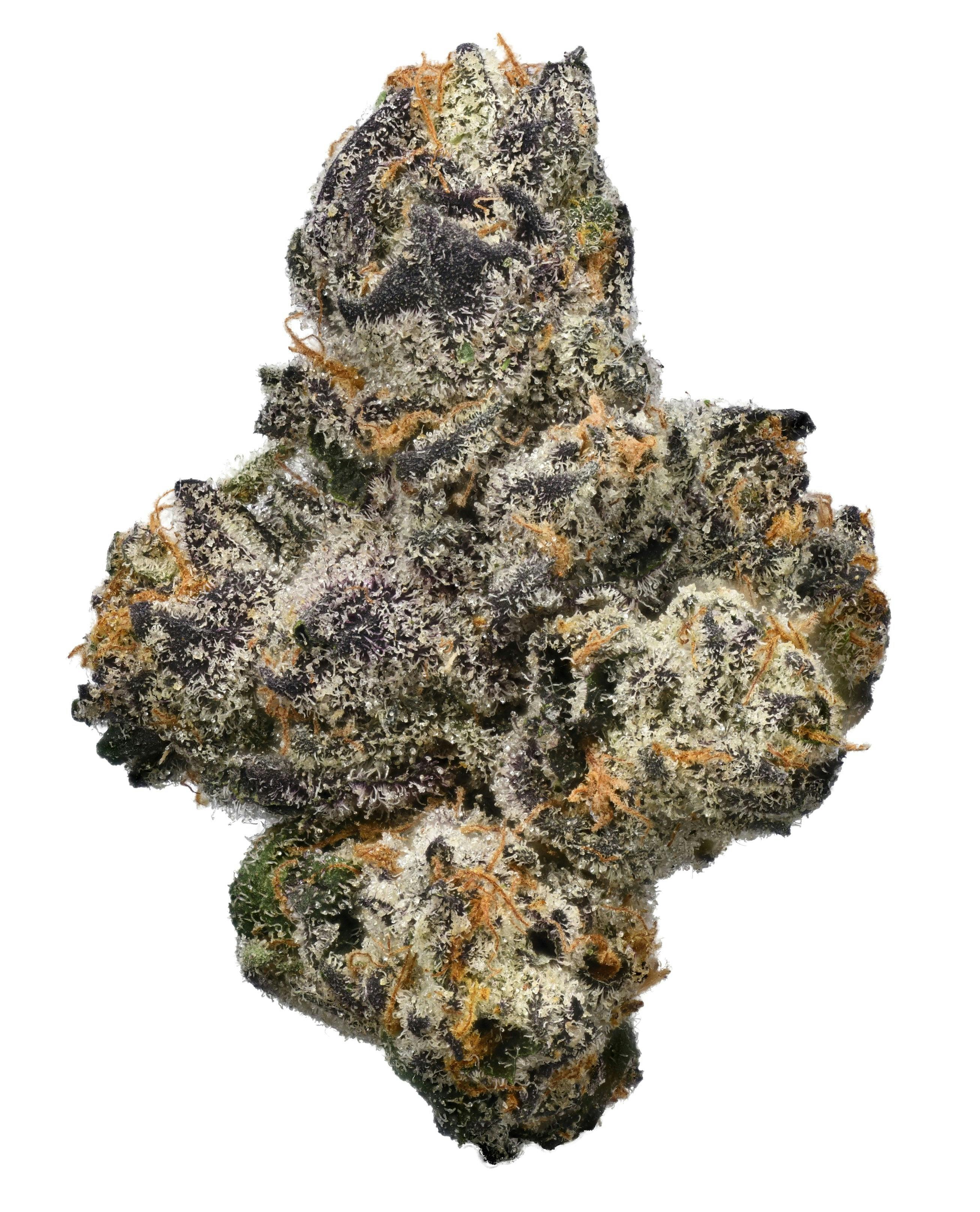 Connected Cannabis Co. - Gushers | Big Buds | 10g - 1