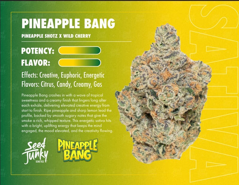 Seed Junky - Pineapple Bang | Big Buds | 3.5g - 1