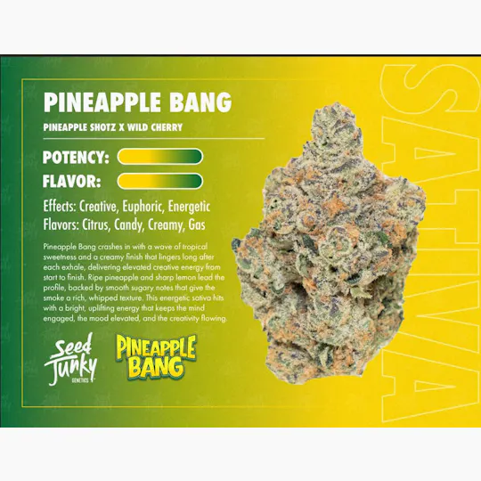 Seed Junky - Pineapple Bang | Big Buds | 3.5g - 1