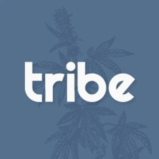 Tribe - Tribe | Sunset Sherbet | Live Sugar Baller | 28g - 1