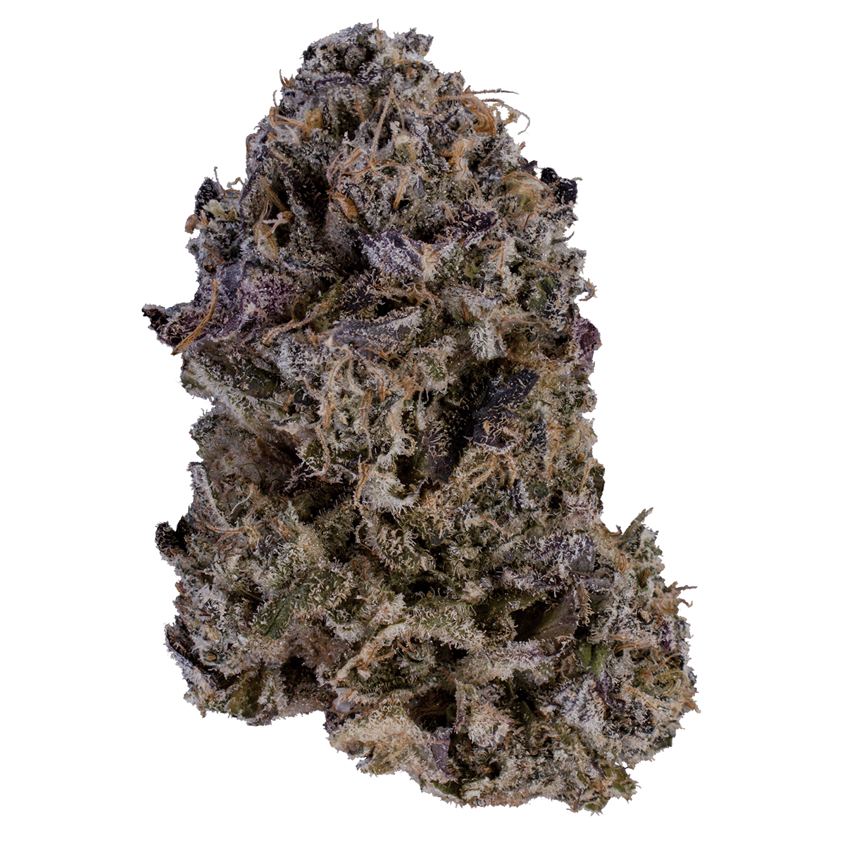 XOTX - XOTX | Forbidden Sunrise | Smalls | 28g - 1
