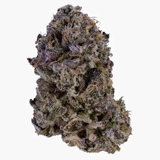 XOTX - XOTX | Forbidden Sunrise | Smalls | 28g - 1