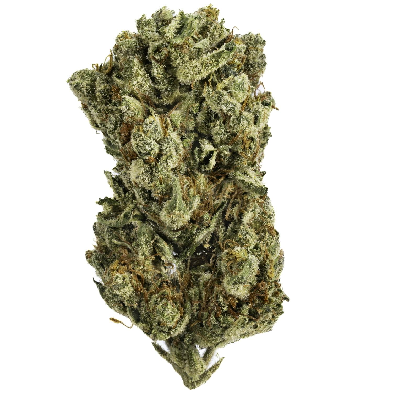 West Coast Cure - Guava Gelato - 14G Premium Flower - 1