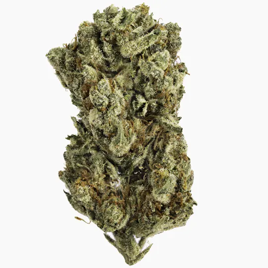 West Coast Cure - Guava Gelato - 14G Premium Flower - 1