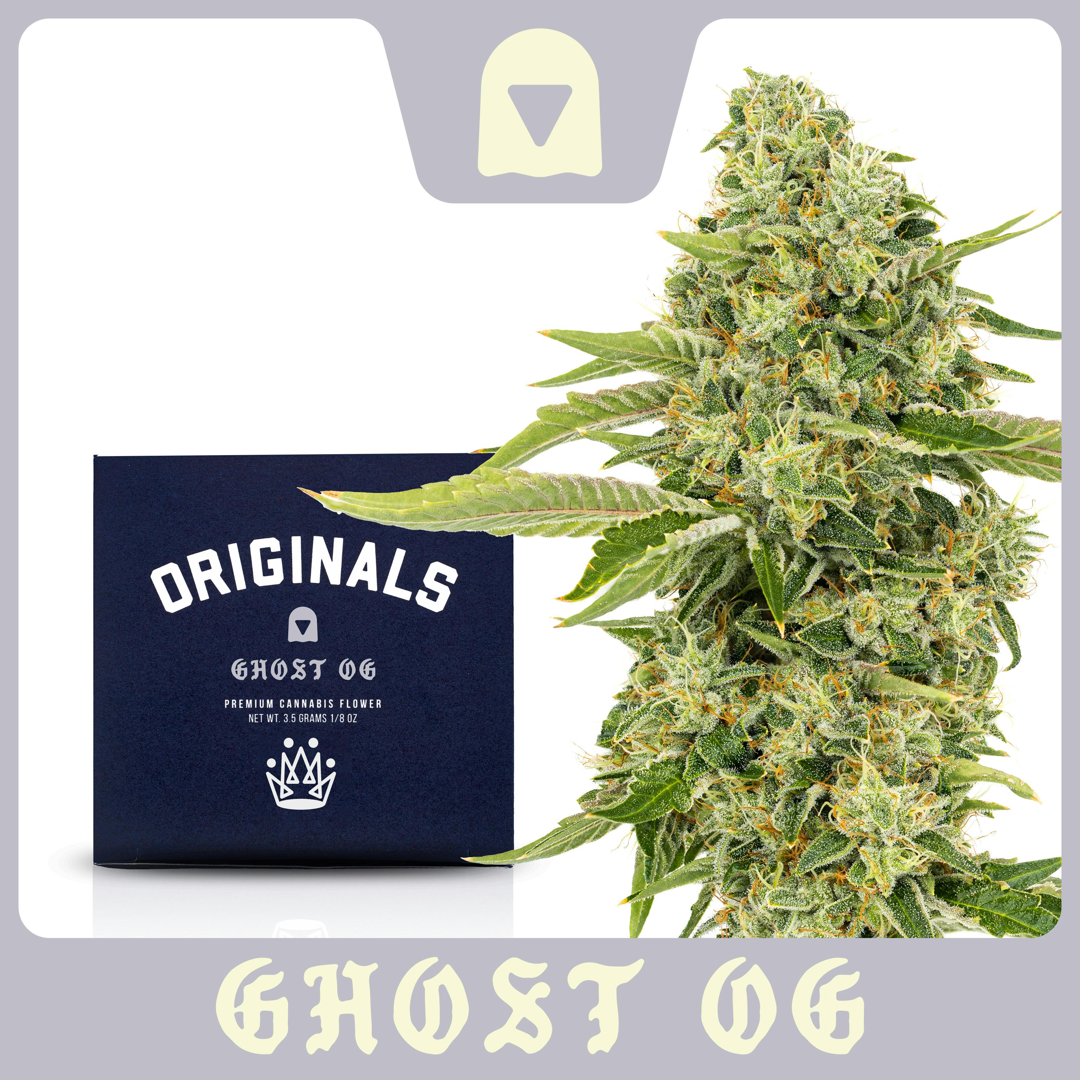 Originals - Originals | Ghost OG | Big Buds | 3.5g - 1