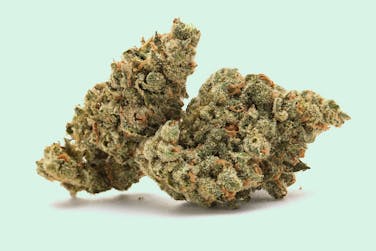 Runtz of Eden Weed Strain Information Weedmaps