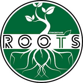 Roots Ethnobotanik