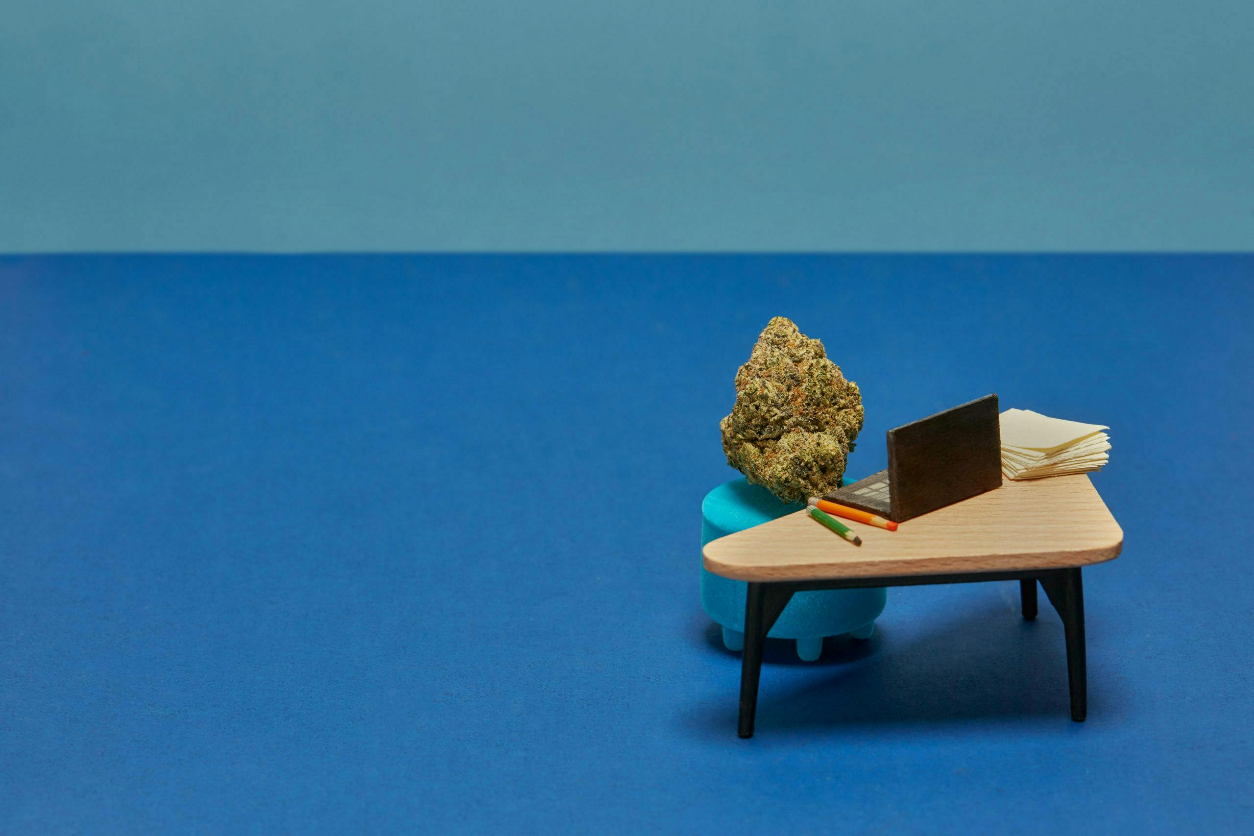 Power through video conferences and emails with the help of these productivity-boosting strains.