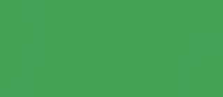 Bruce Banner