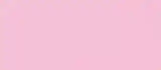 Bubble Gum