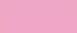 Pink Panties