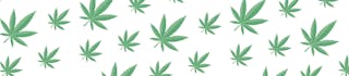 Indica Crystal Extreme