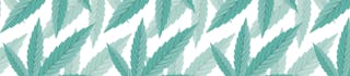 Cannatonic #4