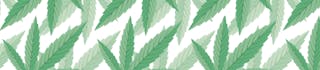 Pure Kush