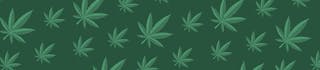 Emerald Cookies
