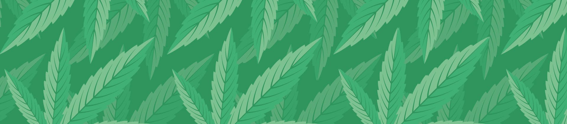 Longbottom Leaf