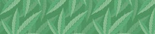 Longbottom Leaf