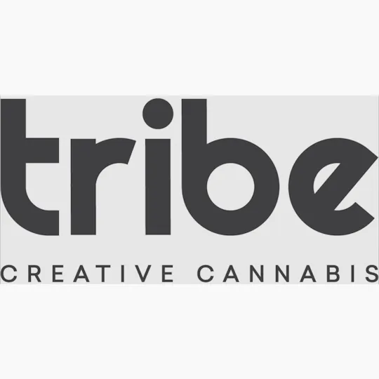 Tribe - Tribe | Raspberry Head | Live Sugar | 1g - 1