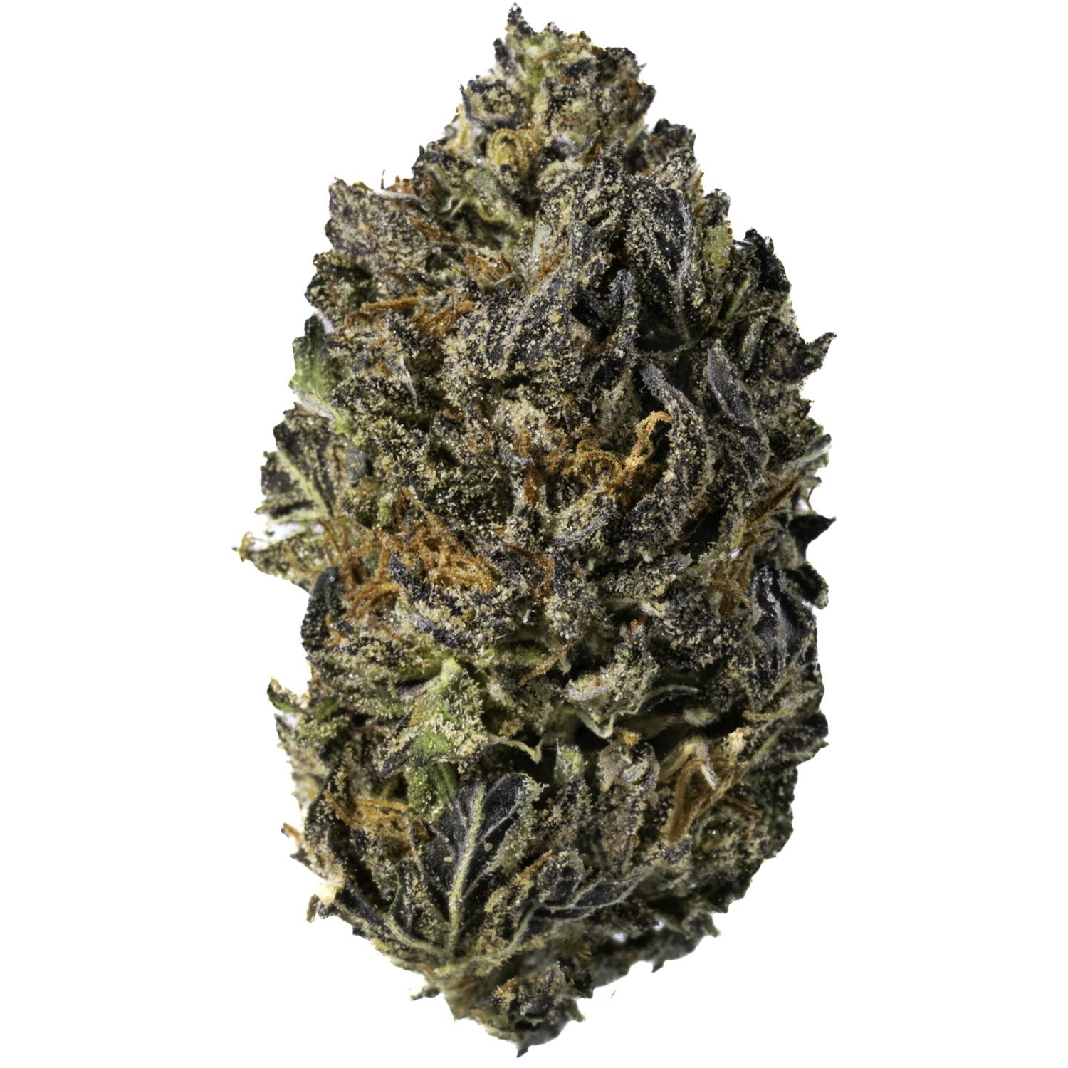 West Coast Cure - Gelato Mintz - 28G Premium Flower - 1