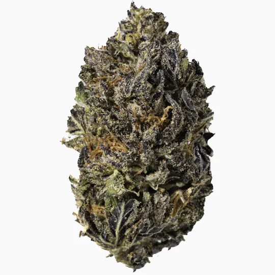 West Coast Cure - Gelato Mintz - 28G Premium Flower - 1