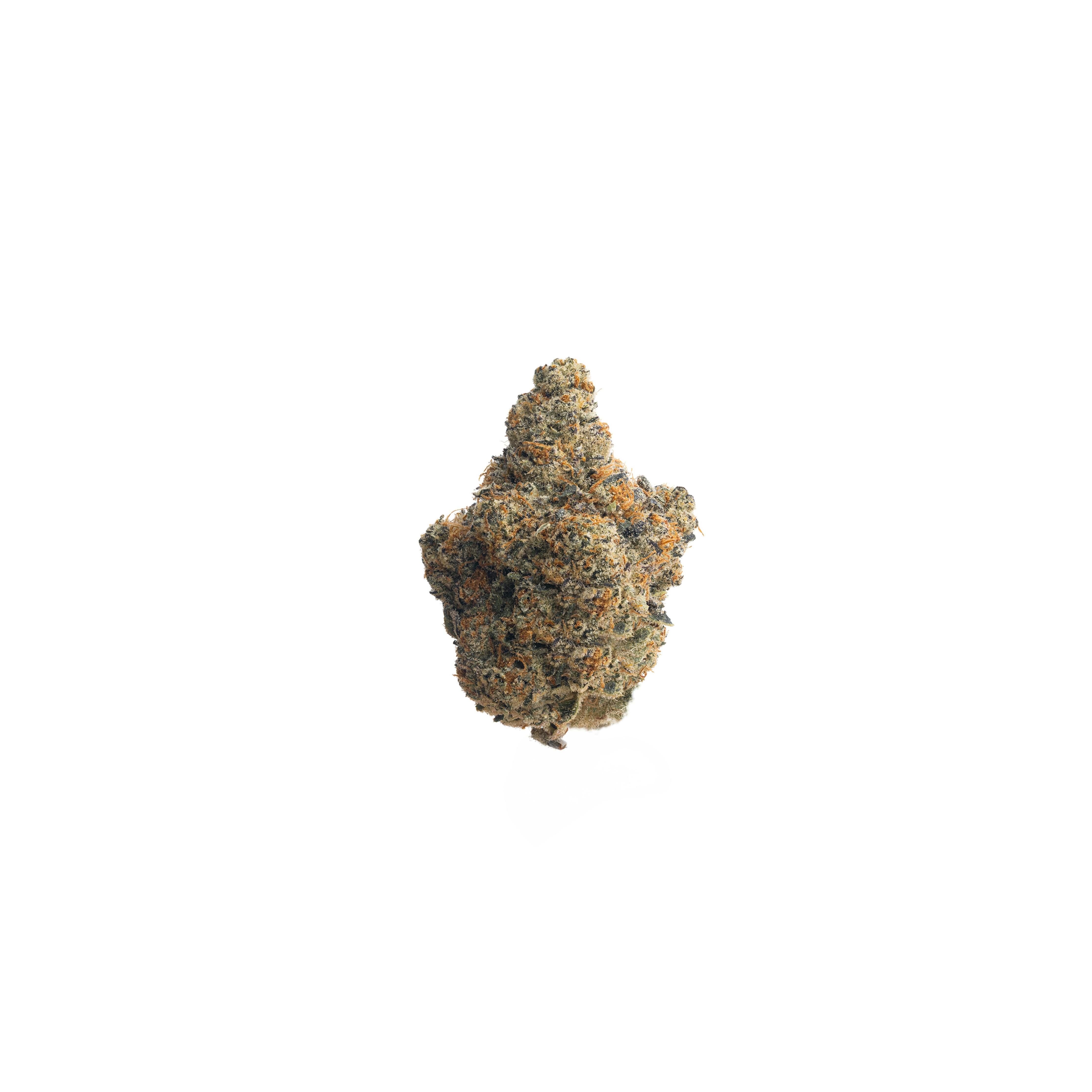 Preferred Gardens - Lazer Gun | 14g | Bag - 1