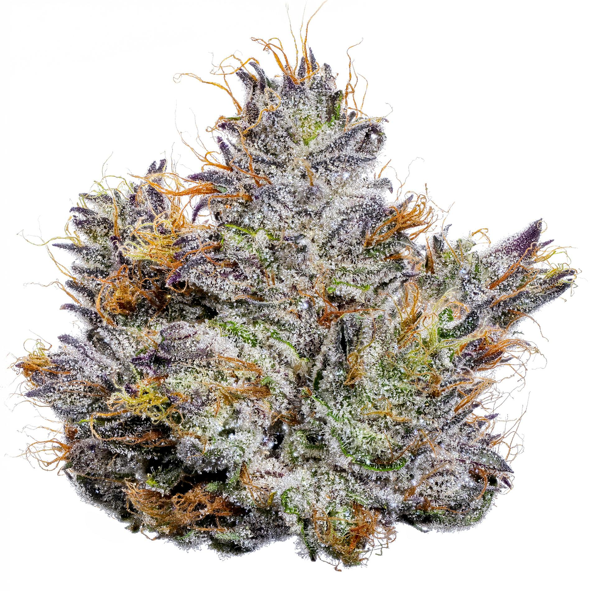 Fig Farms - Fig Farms | Fabulosa | Big Buds - 1