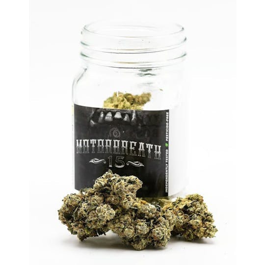 Phat Panda - Motorbreath #15 | Big Buds | 7g - 1