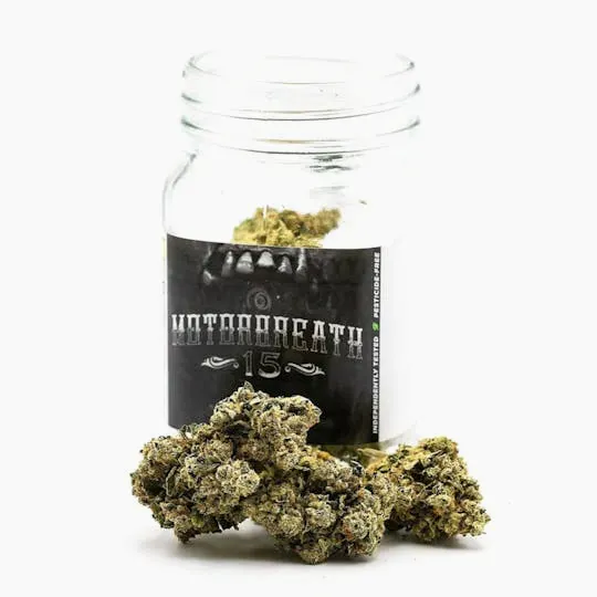 Phat Panda - Motorbreath #15 | Big Buds | 7g - 1