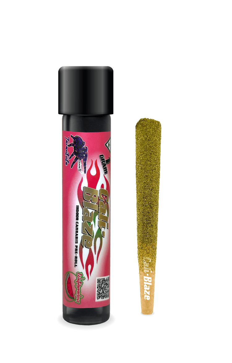 Cali-Blaze - Cali-Blaze | Watermelon | Tarantula Infused Joint | 1g - 1