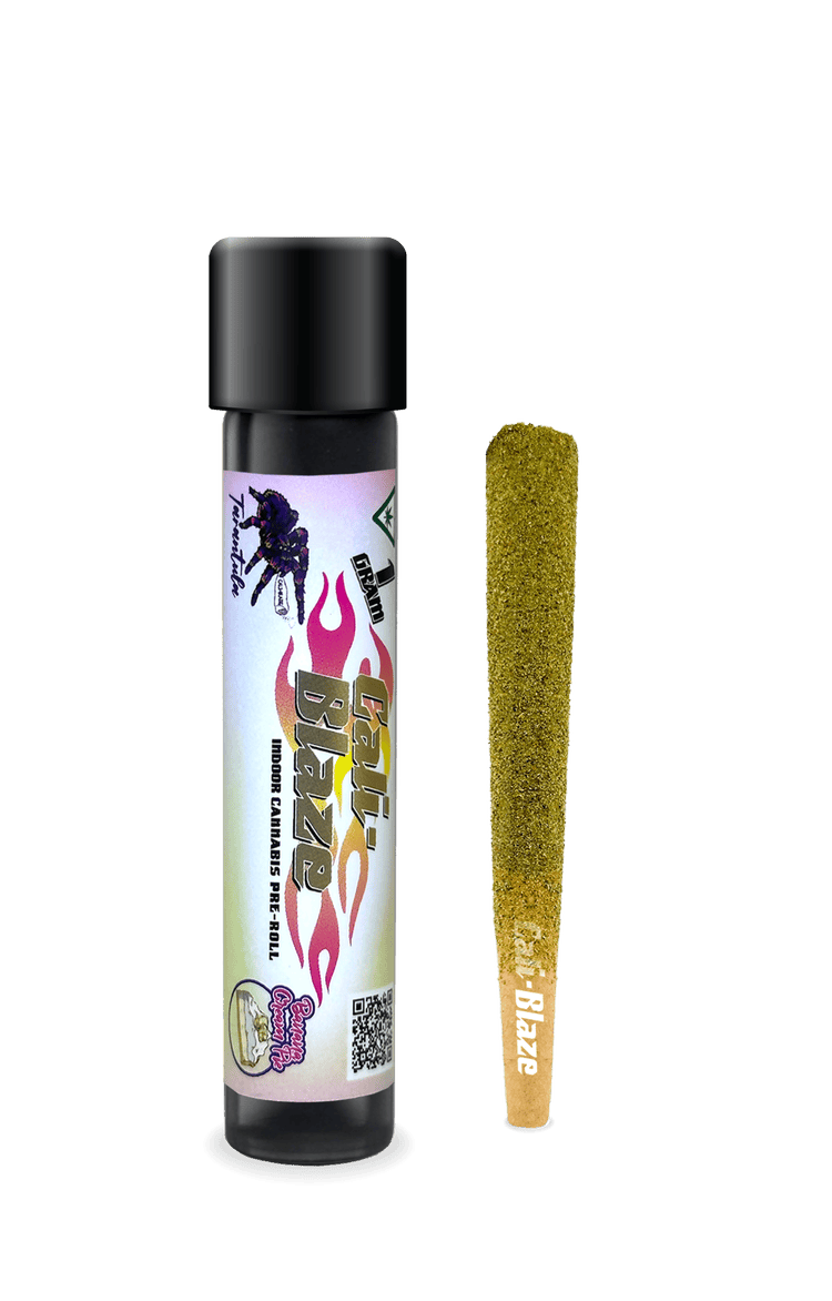 Cali-Blaze - Cali-Blaze | Banana Cream Pie | Tarantula Infused Joint | 1g - 1