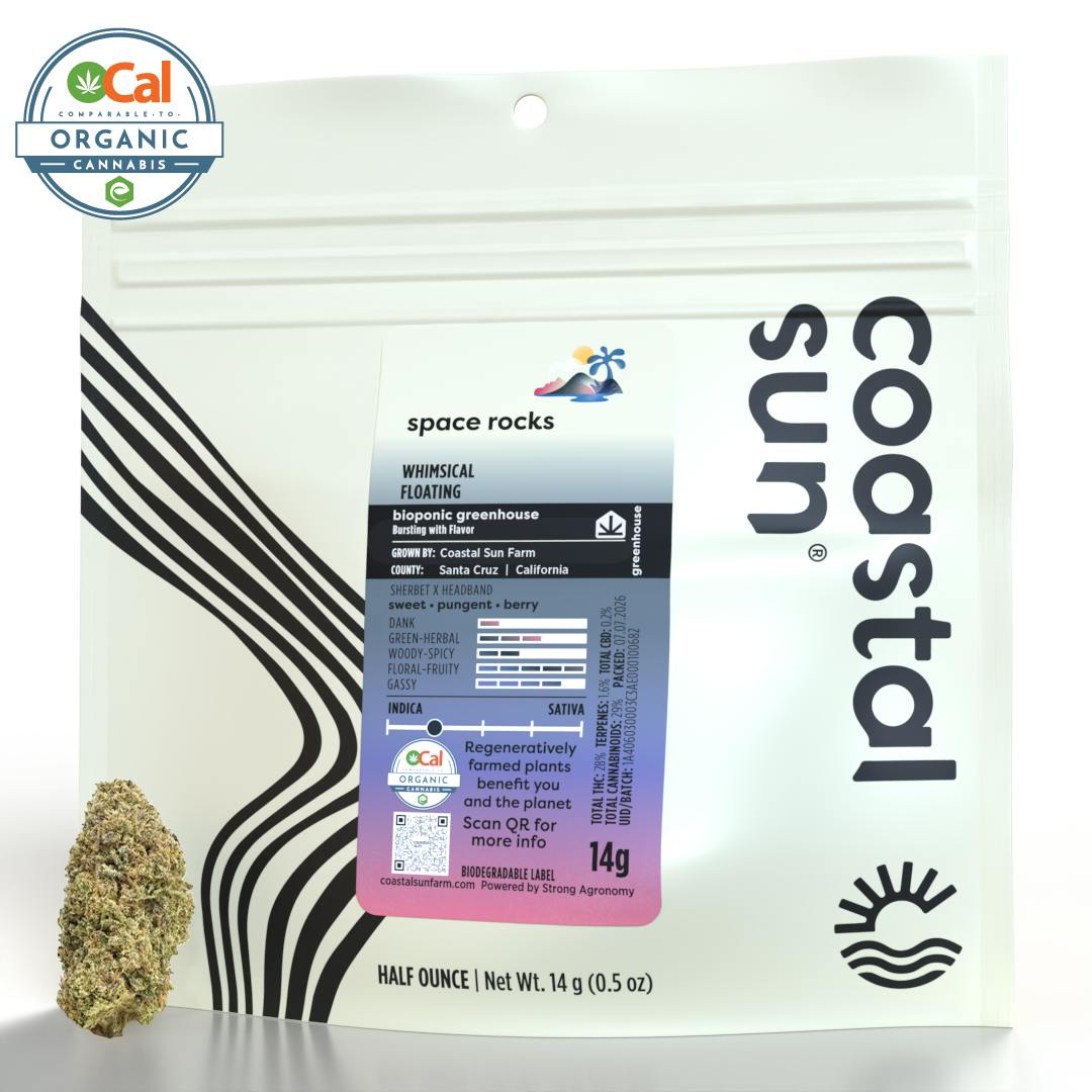 Coastal Sun - Coastal Sun | Space Rocks | Greenhouse Flower | 14g - 1