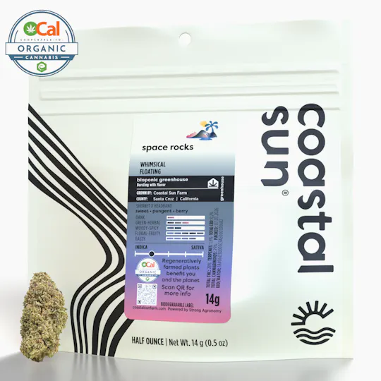 Coastal Sun - Coastal Sun | Space Rocks | Greenhouse Flower | 14g - 1