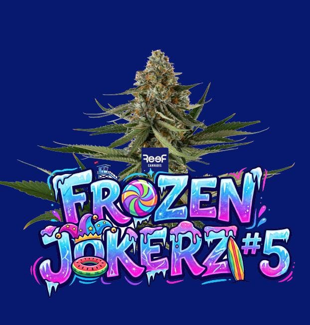 REEF Cannabis - Jokerz #5 Whole Flower - 1