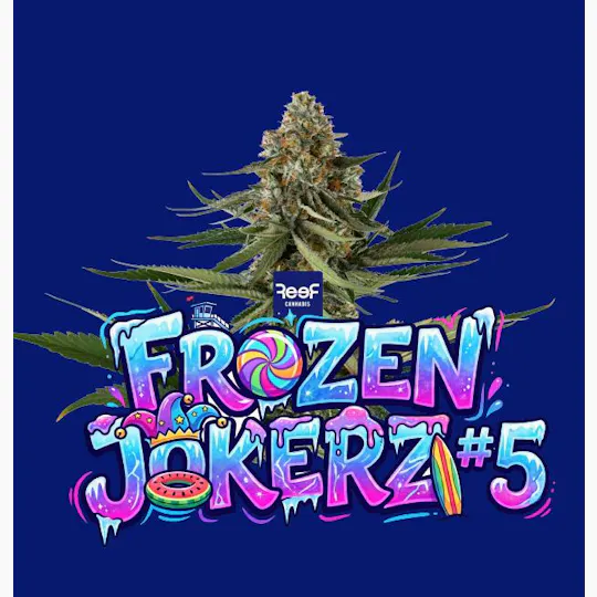 REEF Cannabis - Jokerz #5 Whole Flower - 1