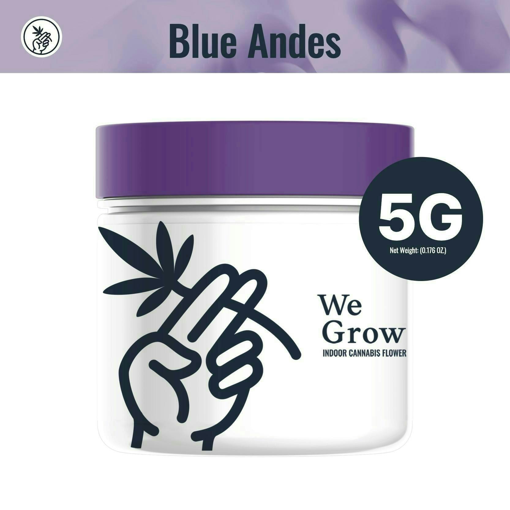 We Grow - We Grow | Blue Andeze | Big Buds | 5g - 1