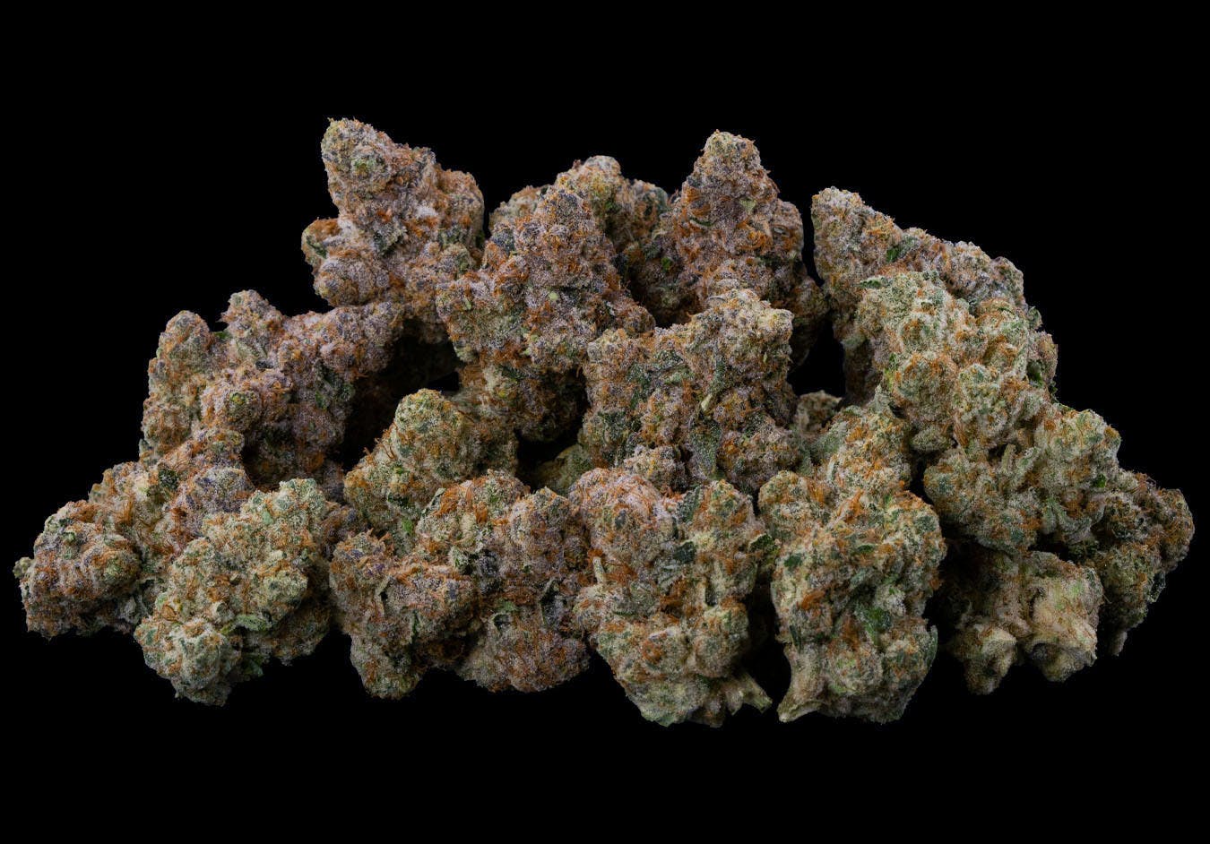 Sunshine - Rainbow Runtz | Bulk Flower - 1