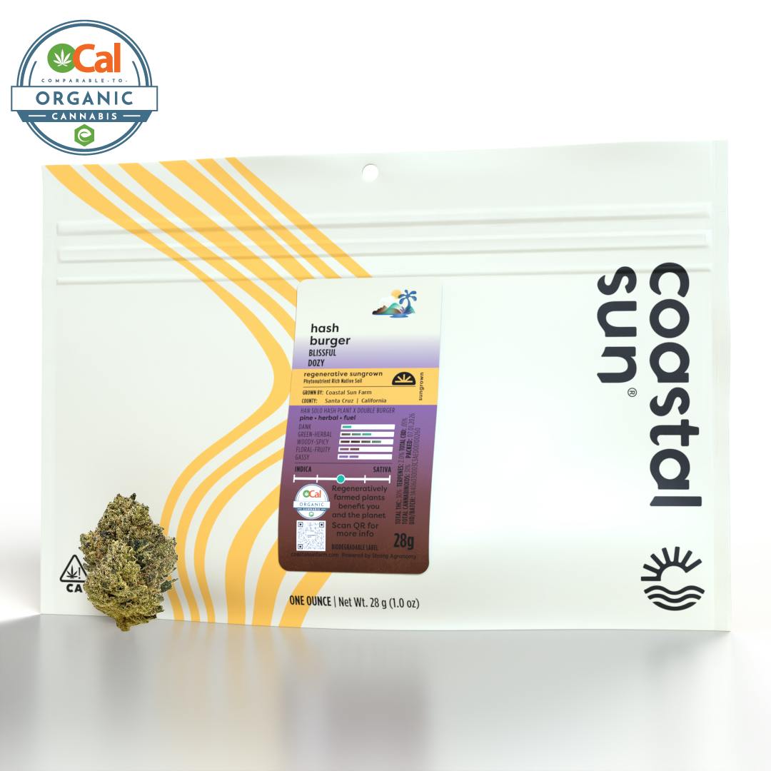 Coastal Sun - Coastal Sun | Hash Burger | Sungrown | 28g - 1