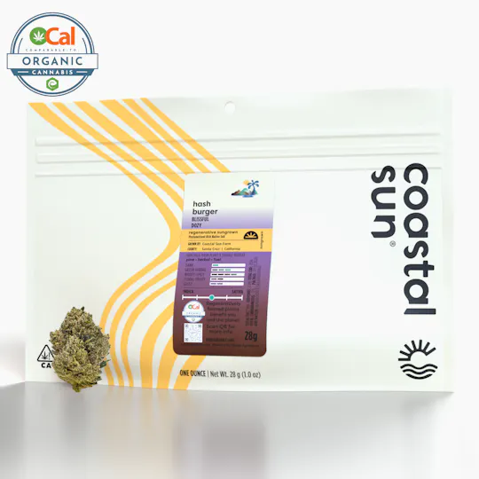 Coastal Sun - Coastal Sun | Hash Burger | Sungrown | 28g - 1