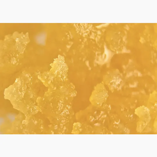 Gold Crown - Gold Crown x LegaSea Farms | Trop Cherry | Sugar | 1g - 1