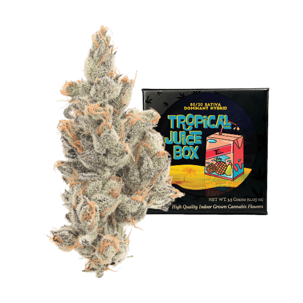 Team Elite Genetics - Tropical Juice Box | Big Buds | 3.5g - 1