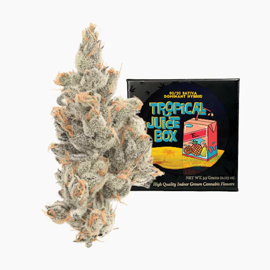 Team Elite Genetics - Tropical Juice Box | Big Buds | 3.5g - 1