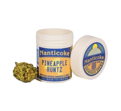 Nanticoke - Pineapple Runtz | Big Buds 3.5g - 1