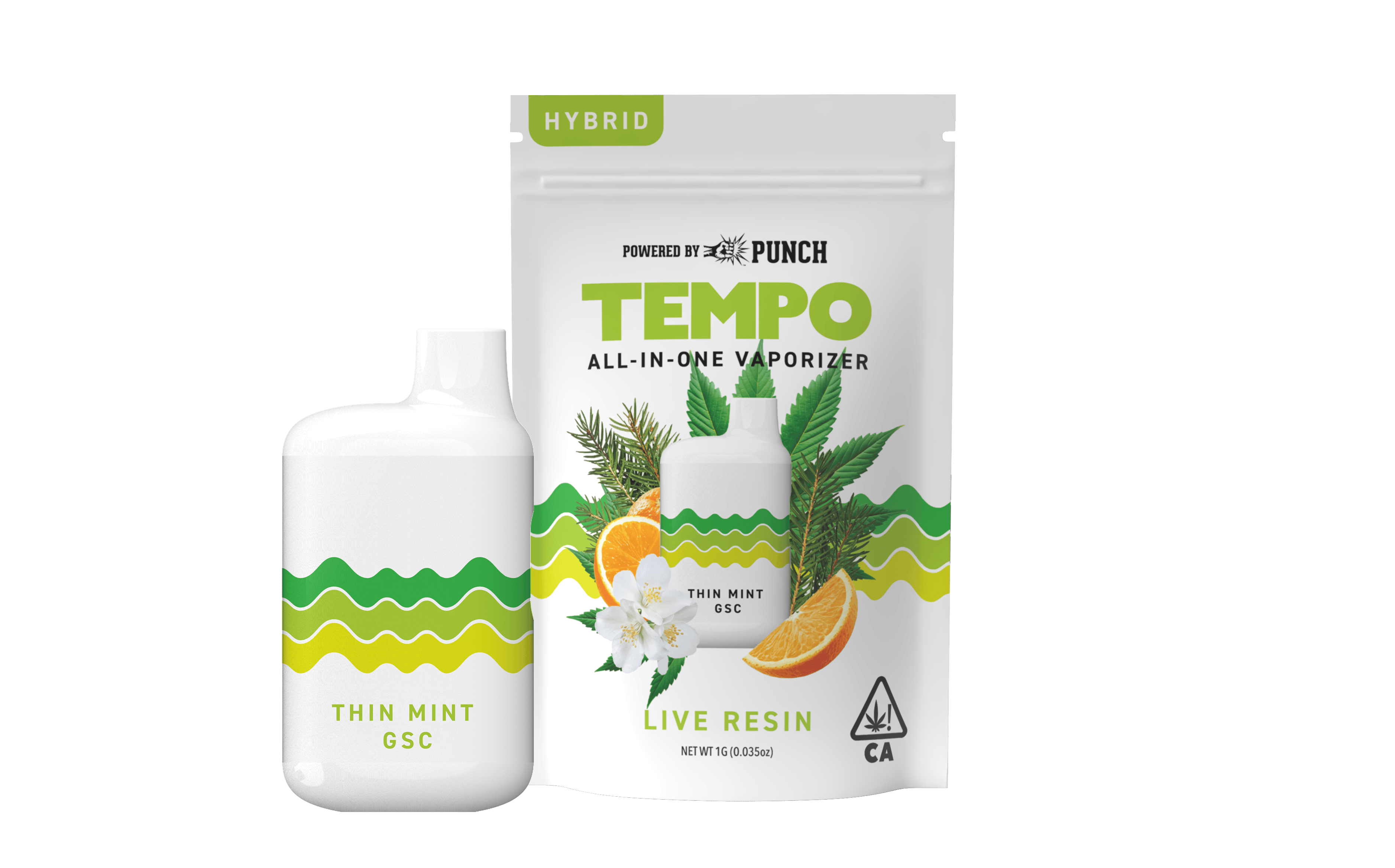 Tempo - Tempo | Thin Mint GSC | Live Resin AIO Disposable | 1g - 1