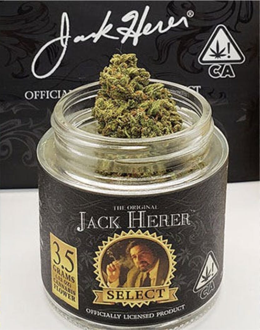 Jack Herer™ Brands - Jack Herer Reserve | Big Buds Jar | 3.5g - 1