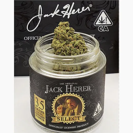 Jack Herer™ Brands - Jack Herer Reserve | Big Buds Jar | 3.5g - 1