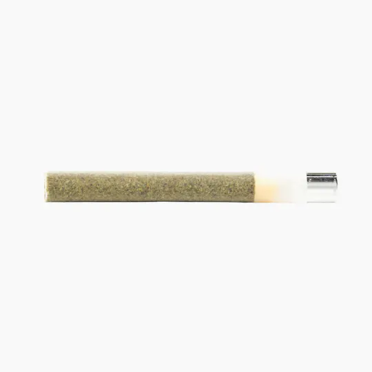 Palm Trees - Palm Trees - Newport - Pre Roll - 2 g - 1