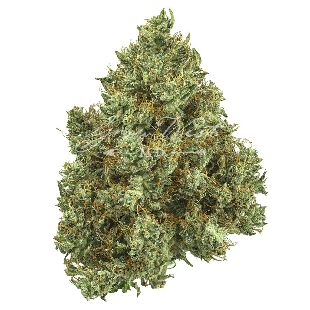 Grow West Cannabis Company - Lilac Diesel | Premium | Hand-Trimmed Flower - 1