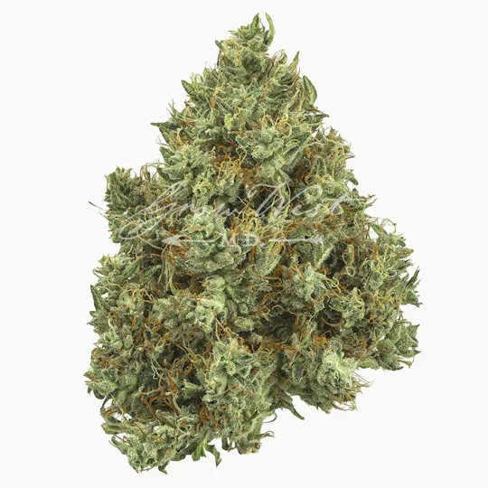 Grow West Cannabis Company - Lilac Diesel | Premium | Hand-Trimmed Flower - 1