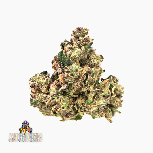 Traditional - Traditional | Jawcrushers | Flower | 3.5g - 1